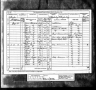 1881 Census John REAY, wife Dorothy, JD POTTS and siblings